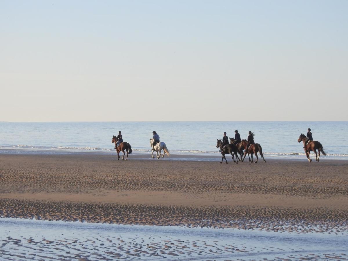 Les 3 Mouettes A Cabourg - Cote Normande Apartment ภายนอก รูปภาพ