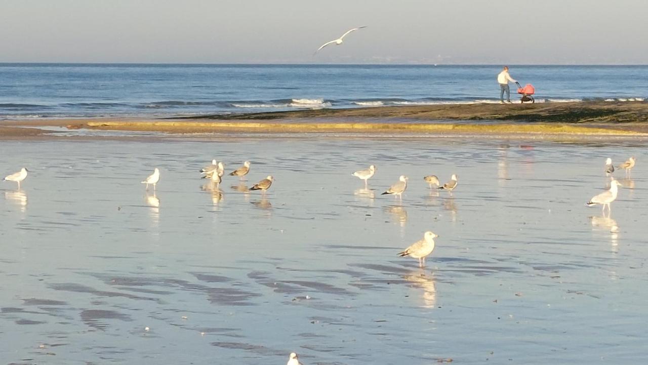 Les 3 Mouettes A Cabourg - Cote Normande Apartment ภายนอก รูปภาพ